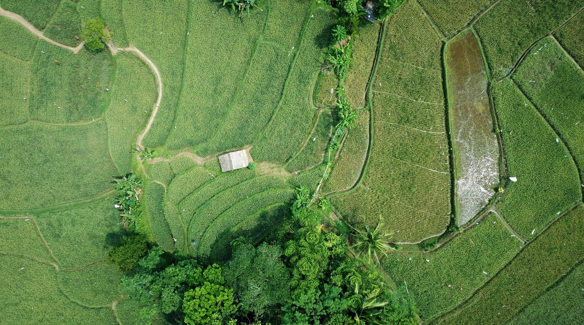 Aerial view of an environmental landscape